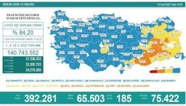 Türkiye'de 65 bin 503 kişinin testi pozitif çıktı, 185 kişi yaşamını yitirdi