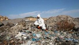 Greenpeace: İngiltere'den Türkiye'ye ithal edilen plastik atıklar, zehirli kimyasallar saçıyor