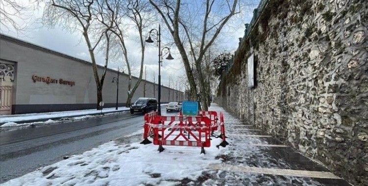 Orman Mühendisleri Odası'ndan İstanbul'daki çınar ağaçlarının kesilmesine ilişkin açıklama