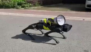 Şanghay'da sokaklarda dolaşan robot köpek gündem oldu