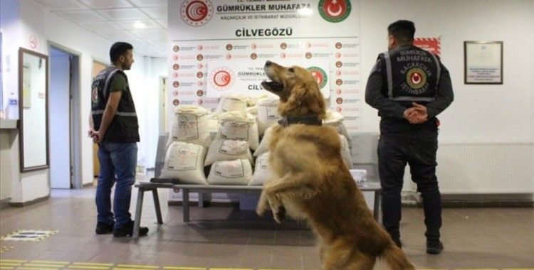 Cilvegözü'nde, 2 milyon 422 bin adet uyuşturucu hap ele geçirildi