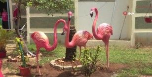 Hindistan’da "Flamingo Festivali"