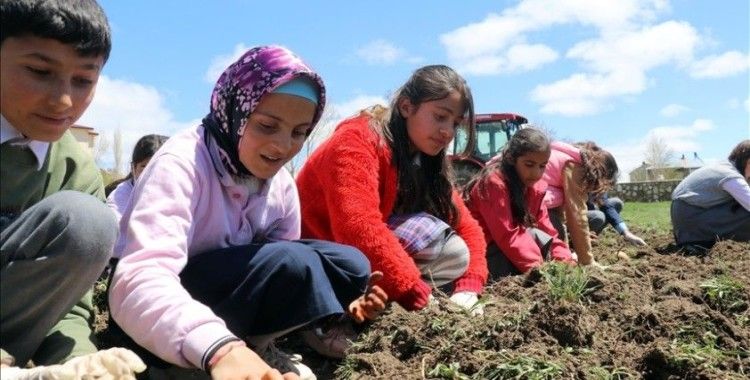 Öğrencilere tarımı öğretmek için Ağrı'da okul arazileri bostana dönüştürülüyor