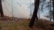 İzmir'in iki ilçesindeki orman yangını da kontrol altına alındı