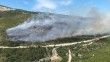 İzmir'in Urla ve Dikili ilçelerinde ormanlık alanlarda yangın çıktı
