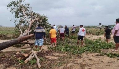 Meksika'yı vuran Agatha Kasırgası'nda 4 kişi öldü