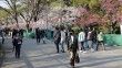 Japonya sınırları yabancı turiste 2 yıl sonra yeniden açıldı