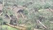 Kütahya’da hortum paniği: 80’e yakın ağaç devrildi