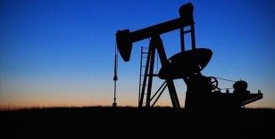 Fitch, petrol fiyatları öngörüsünü yükseltti