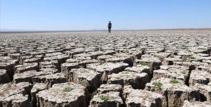 İklim değişikliğine bağlı kuraklık çölleşme riskini artırıyor