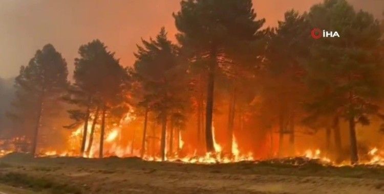 İspanya’da orman yangınları sürüyor