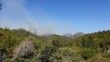 KKTC'deki orman yangınına müdahale sürüyor