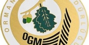 OGM: “Kara müdahalesi yangının kontrol altına alınması için esas unsurdur”