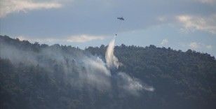 Antalya'da çıkan orman yangını kontrol altına alındı