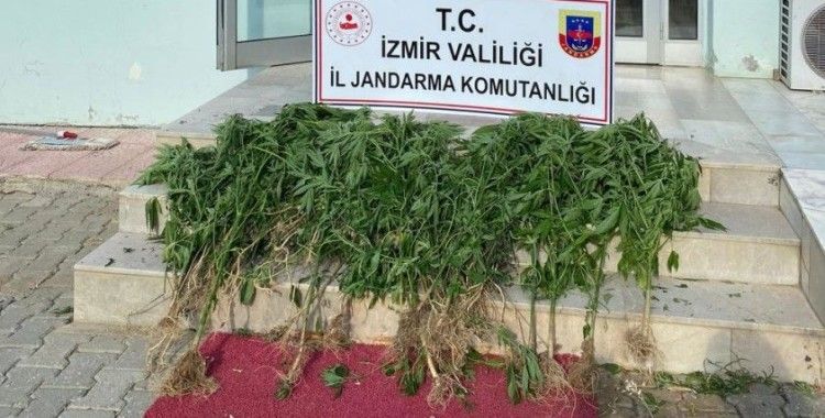 İzmir'de 11 ilçede uyuşturucu operasyonu: 25 şüpheliye işlem