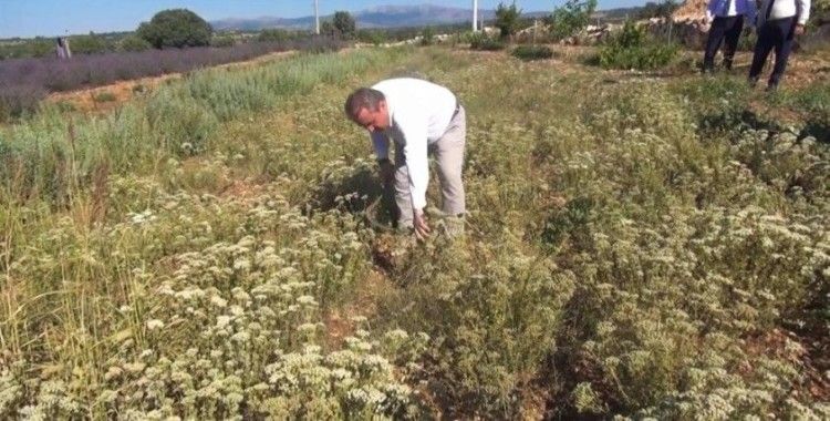 Destici: 'Muhalefetin elinde koz bırakmayacağız'