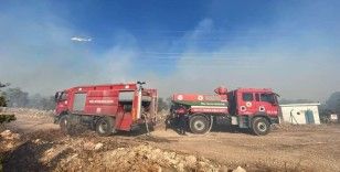 Milas'taki orman yangını kontrol altına alındı