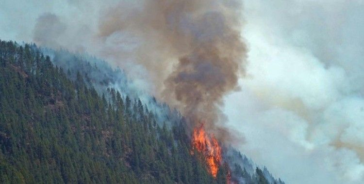 İspanya’daki orman yangınları söndürülemiyor