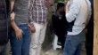 İstanbul’da 'Kör Ercan' lakaplı pitbullu torbacıya baskın: Okulun karşısına kulübe kurmuş
