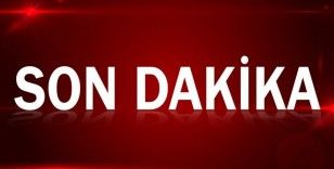 Cumhurbaşkanı  Erdoğan açıkladı: Fındık alım fiyatı 54 lira oldu