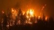 California yılın en büyük yangınıyla mücadele ediyor