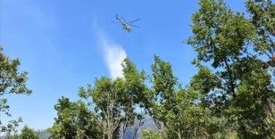 Çanakkale'de çıkan orman yangını kontrol altına alındı