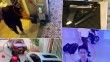 İranlı suikast timinin yeni görüntüleri ortaya çıktı: Beyoğlu'nda otel odasında atış talimi