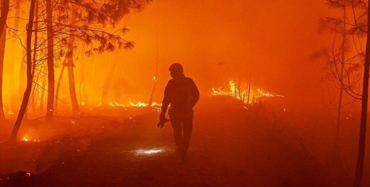 Fransa’nın Korsika Adası'ndaki yangında 450 hektarlık yeşil alan zarar gördü