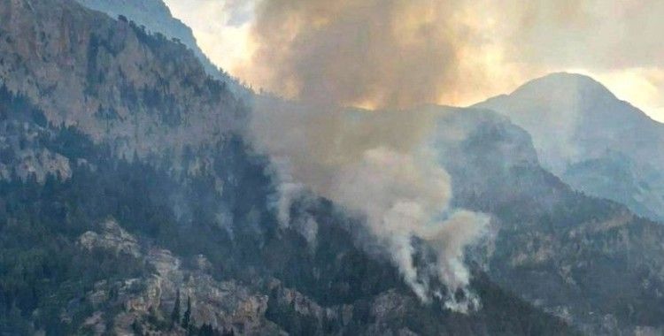 Mersin'deki orman yangını ikinci gününde: Arazi koşulları yangınla mücadeleyi zorlaştırıyor