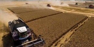 Rusya Tarım Bakanlığı: Mevcut tarım sezonunda tahıl ihracat planını gözden geçirebiliriz