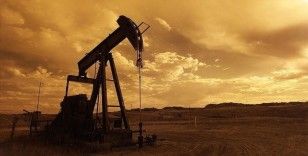OPEC: Küresel petrol üretimi temmuzda arttı