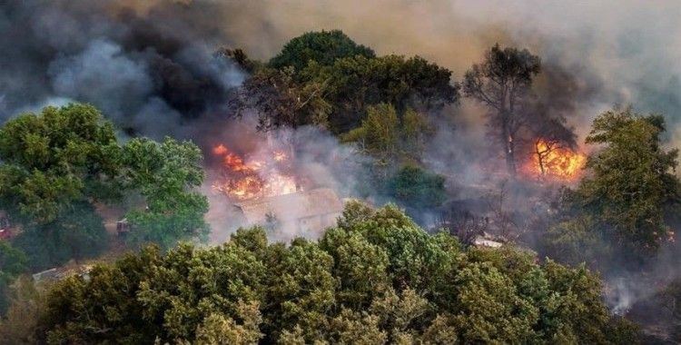 Fransa’daki orman yangını 7 bin 400 hektar alanı küle çevirdi