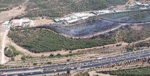 İzmir'de ormanlık alanda çıkan yangın kontrol altına alındı