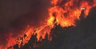 İspanya’nın Valencia bölgesinde 10 bin hektardan fazla alan yandı