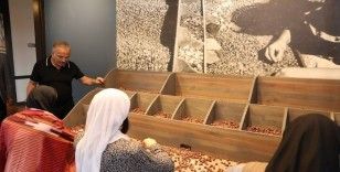 Türkiye’de bir ilk: Fındık müzesi