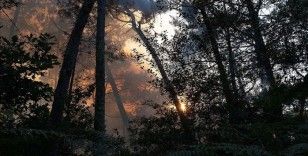 Fransa'da Gironde vilayetindeki yangında 3 bin 400 hektar yeşil alan zarar gördü