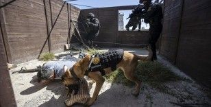 Jandarma köpeğinin 'gözünden' rehine kurtarma operasyonu