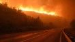 İzmir'de 430 hektarlık orman yangınının sanığı istinafta beraat etti