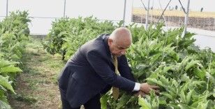 Bakan Kirişci: 'Yılın ilk 8 ayında tarım ürünleri ihracatımız 21,5 milyar dolar'