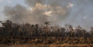 Brezilya Amazonları'nda bu yıl çıkan orman yangınları 2021'in tamamını geride bıraktı