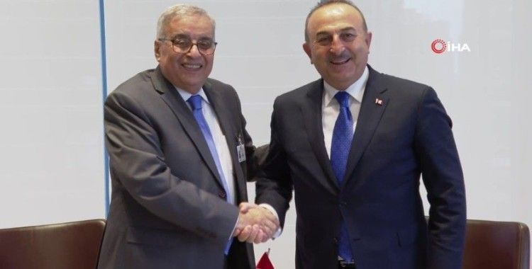 Dışişleri Bakanı Çavuşoğlu, Lübnan Dışişleri Bakanı Habib ile görüştü