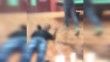 Bilardo salonuna silahlı saldırı: 10 ölü