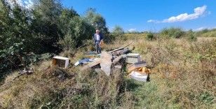 Kastamonu'da ayılar arı kovanlarını parçaladı