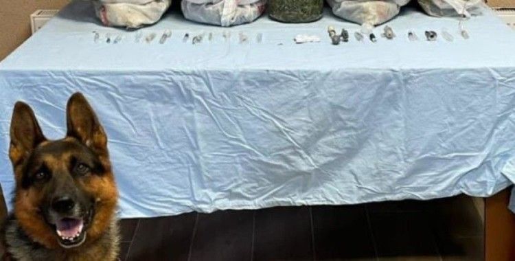 Sakarya’da 5 kilo esrar ele geçirildi: 1 gözaltı