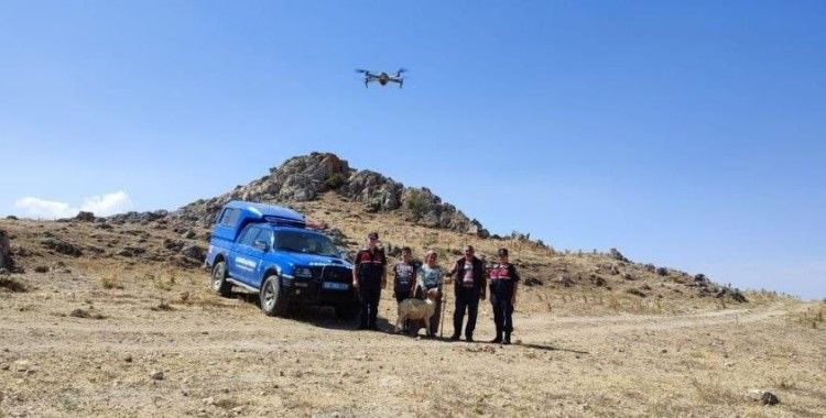 Jandarma, kaybolan 12 koyunu dron ile buldu