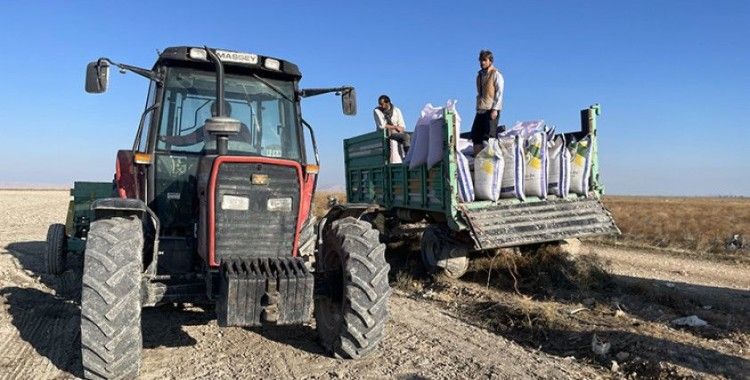 Konya Ovası'nda çiftçinin hububat ekim mesaisi başladı