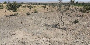 Terör örgütü YPG/PKK'dan Karkamış'a roket saldırısı