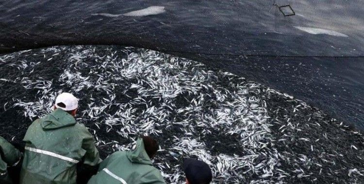 BM: Akdeniz ve Karadeniz'de aşırı avlanma azalsa da balıkçılık kaynakları hala baskı altında