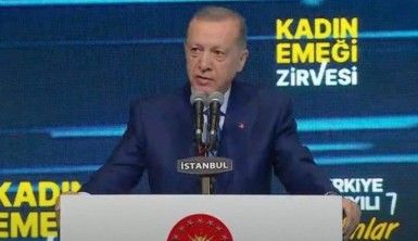 Cumhurbaşkanı Erdoğan: "Kredibilitesi yüksek firmalarımıza en az yüzde 75 oranında Hazine destekli kefalet sağlıyoruz"