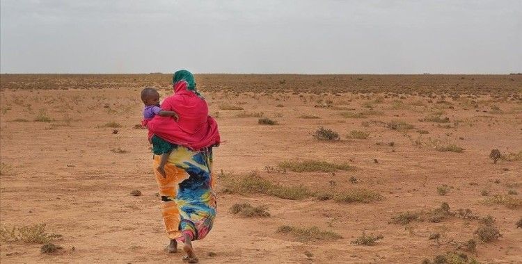 Somaliland'ın tanınma talebi hem Afrika hem kendi iç barışını tehdit ediyor